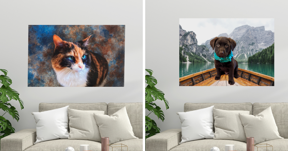 Pet Canvas Prints BC SPCA