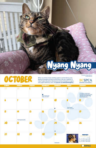 BC SPCA Calendar