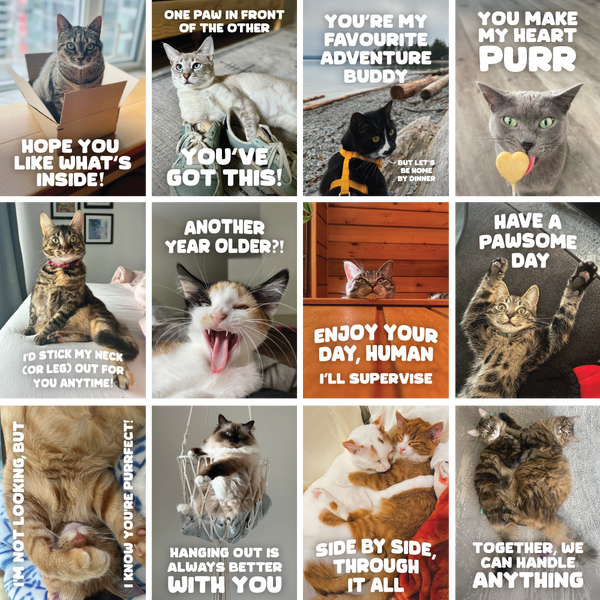Greeting Cards