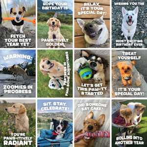 Greeting Cards
