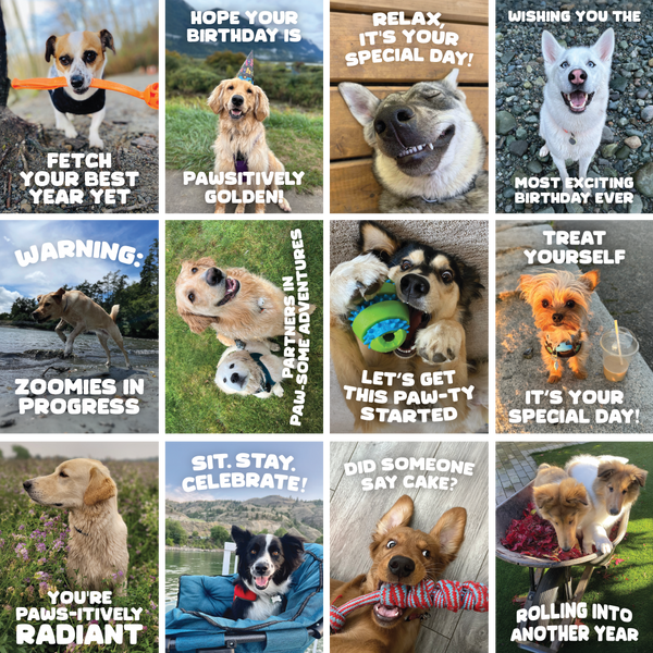 Greeting Cards
