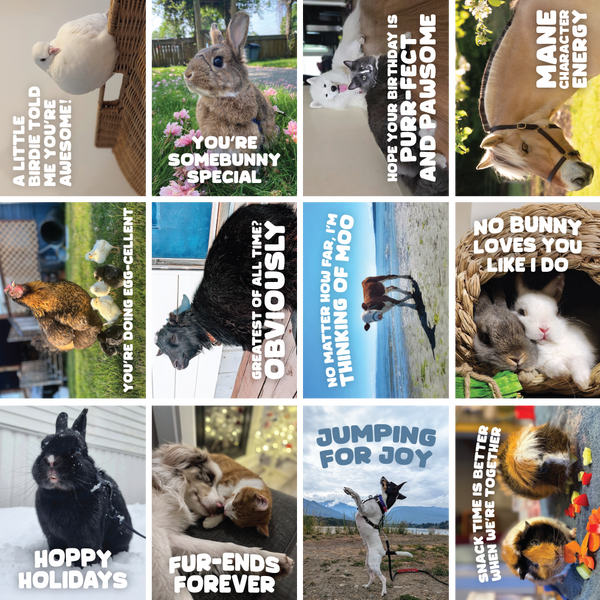 Greeting Cards