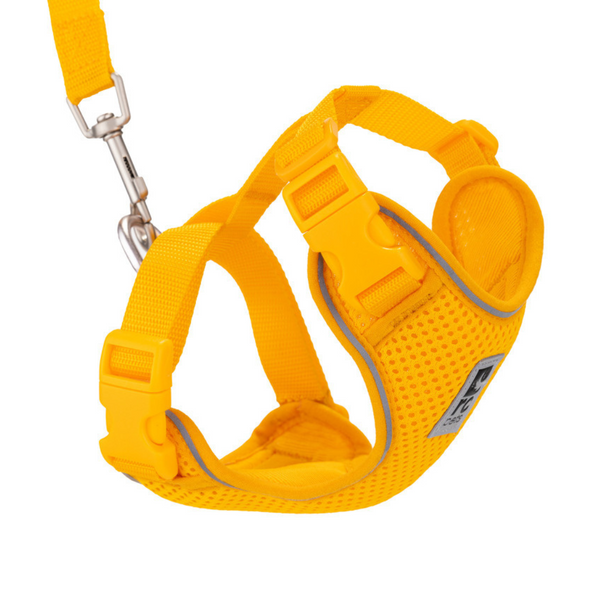 Adventure Kitty Harness