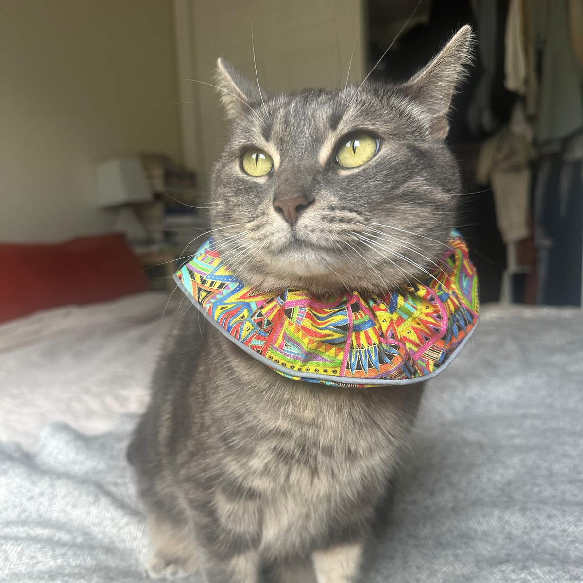 Birdsbesafe Cat Bird Collar Celtic Wind Birdsbesafe ® Cat Collar