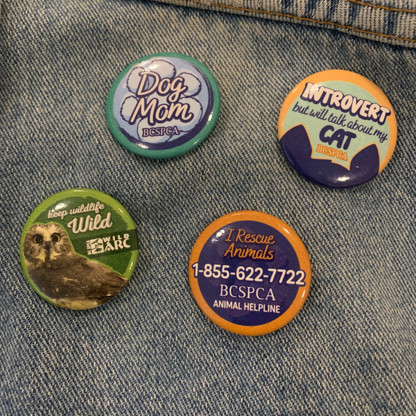 BC SPCA Buttons