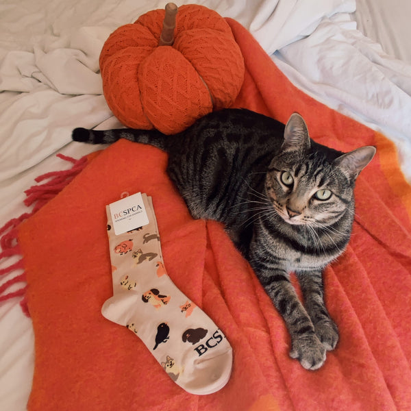 BC SPCA Socks