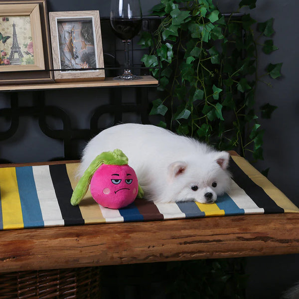 HUGSMART - Feisty Veggie – Radish