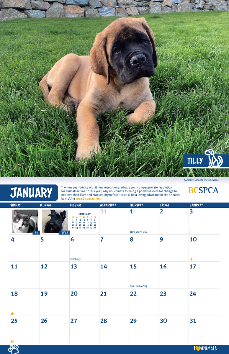 BC SPCA Calendar