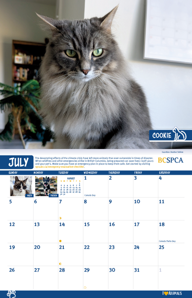 BC SPCA Calendar