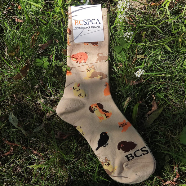 BC SPCA Socks