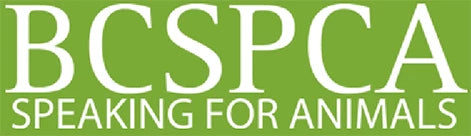 BC SPCA