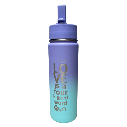Love is a Four Legged Word - Insulated Water Bottle