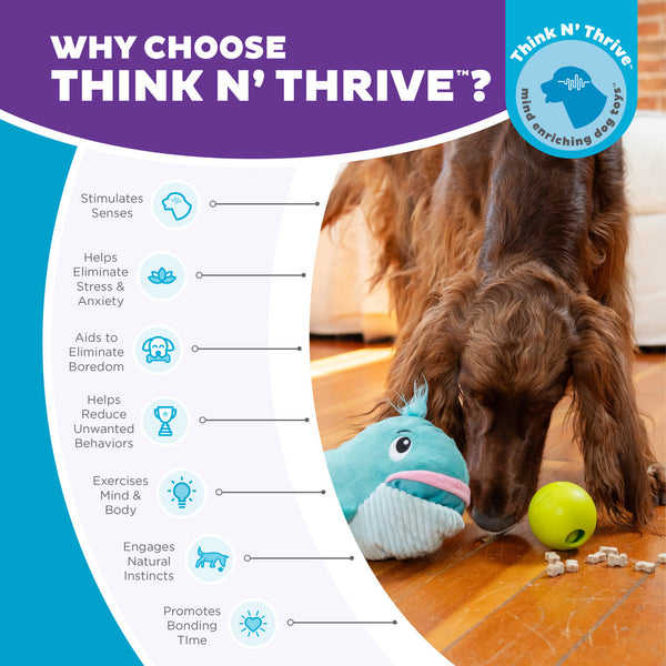 OUTWARD HOUND - Big Mouthz Interactive Plush Dog Puzzle