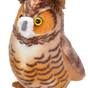 Adopt an owl | Symbolic adoptions