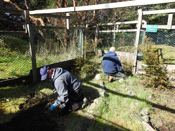 Organic Garden - Wild ARC