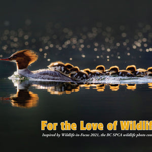 For the Love of Wildlife - Photo Book