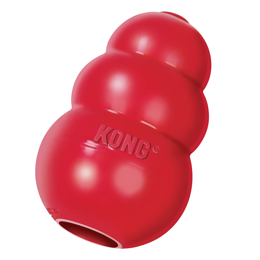 KONG Classic – BC SPCA