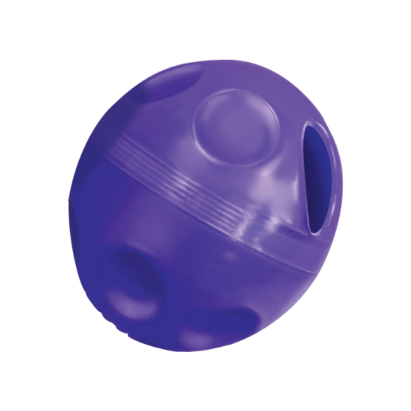 KONG Treat Dispensing Ball BC SPCA