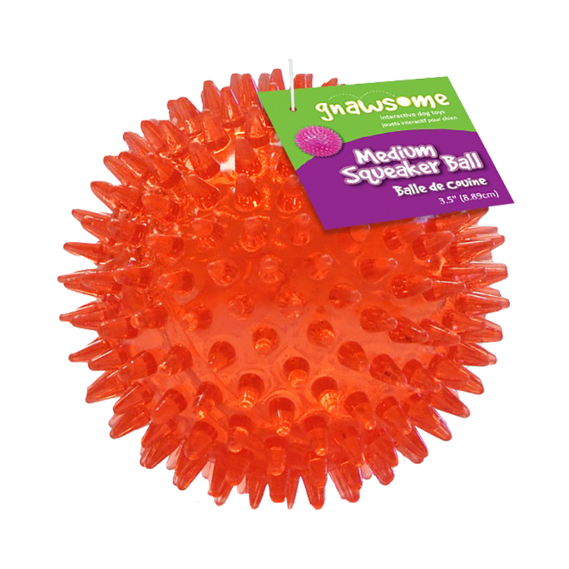 ROYAL PET Gnawsome Ball