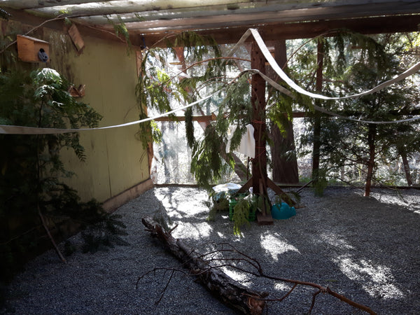 Outdoor Mammal Enclosure - Wild ARC