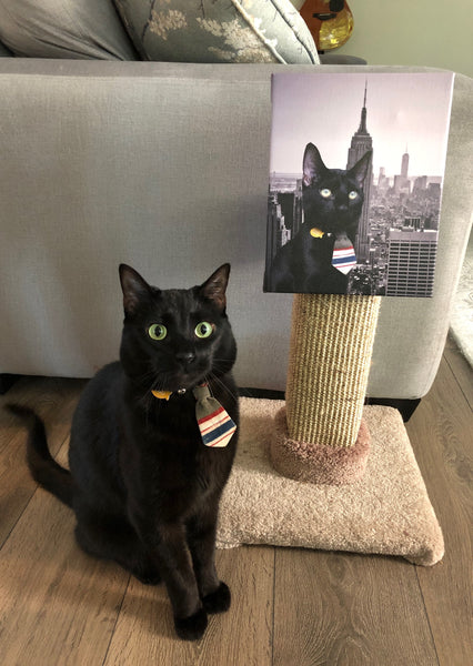 Custom Pet Cut-Out Canvas Print