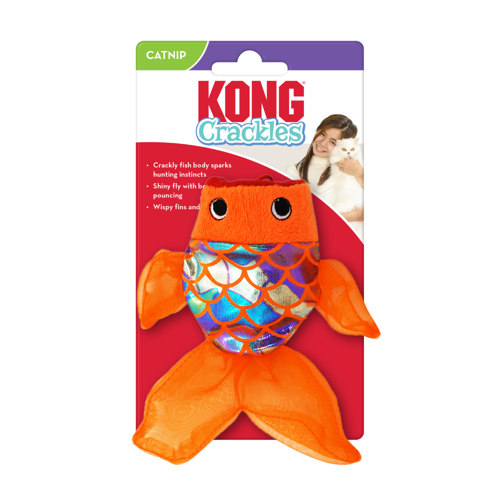 Kong starfish clearance