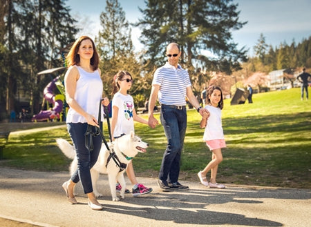Tempo No Pull Dog Harness