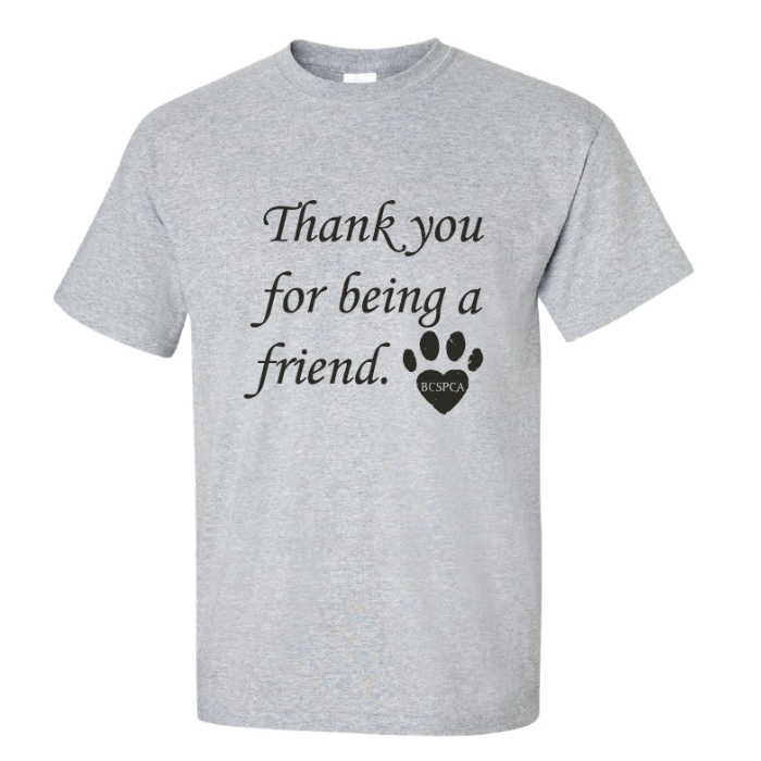 thank you for being a friend shirt