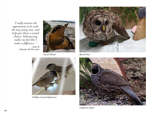 For the Love of Wildlife - Photo Book