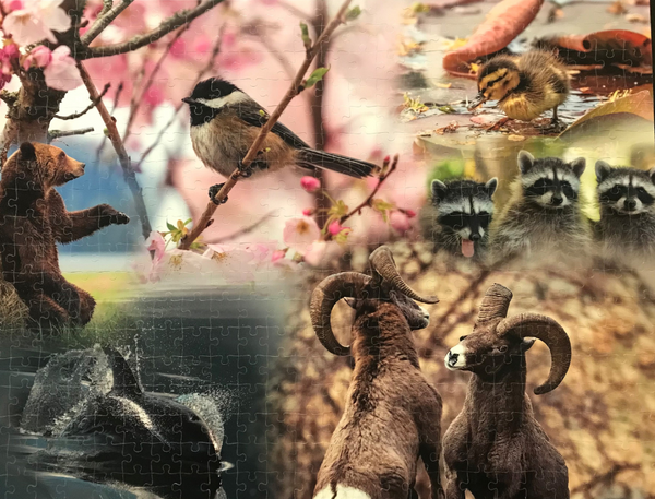 Wildlife puzzle (500 pcs)
