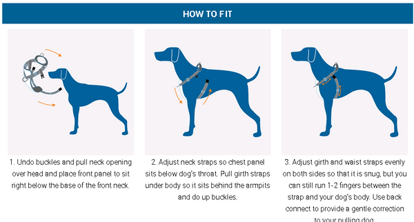 Tempo No Pull Dog Harness