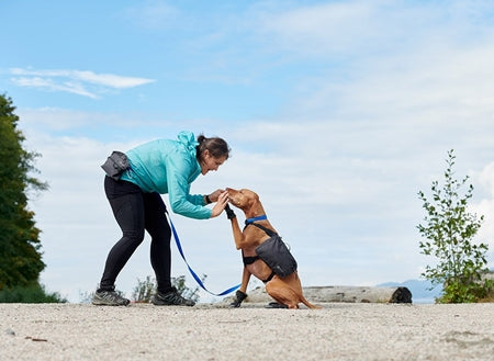Quest Doggie Day Pack