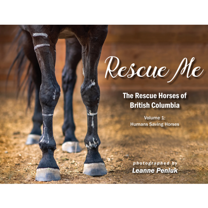 Rescue Me - Horse Book