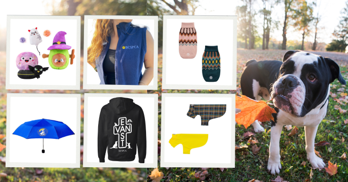 Collections – BC SPCA