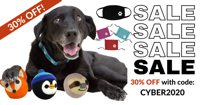 Collections – BC SPCA