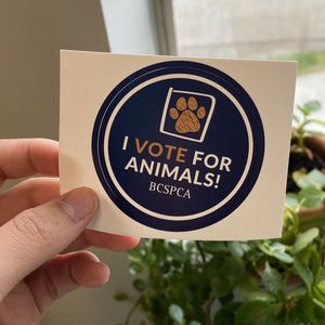 Vote for Animals Sticker