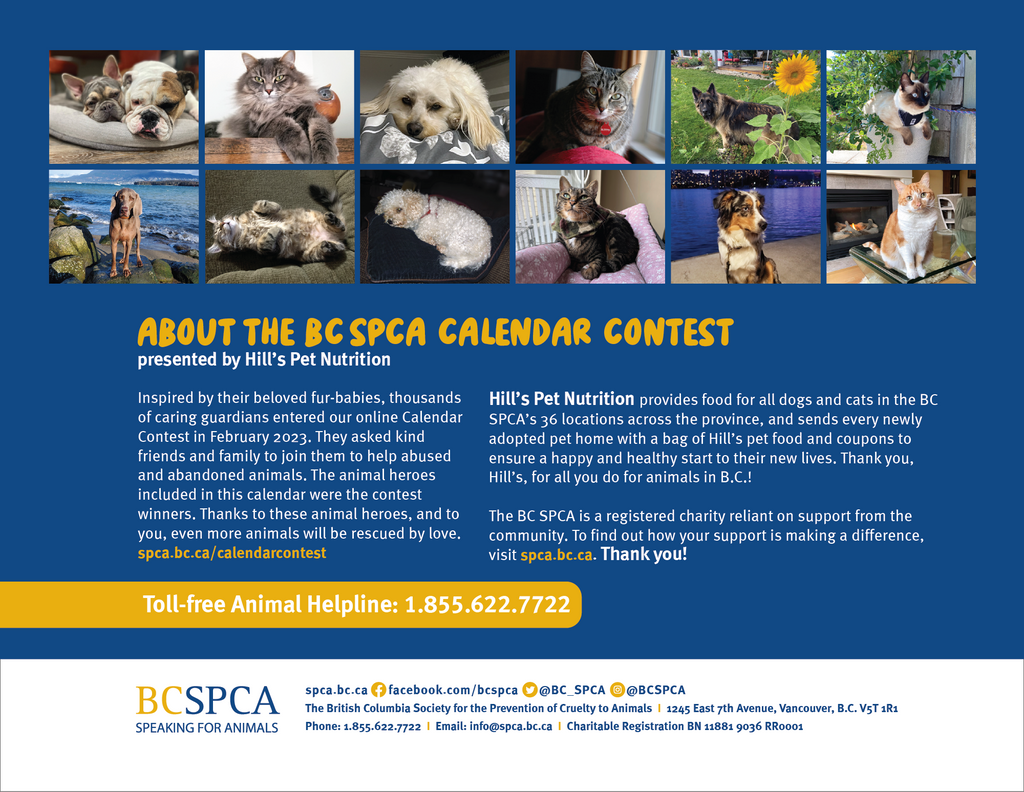 BC SPCA Calendar