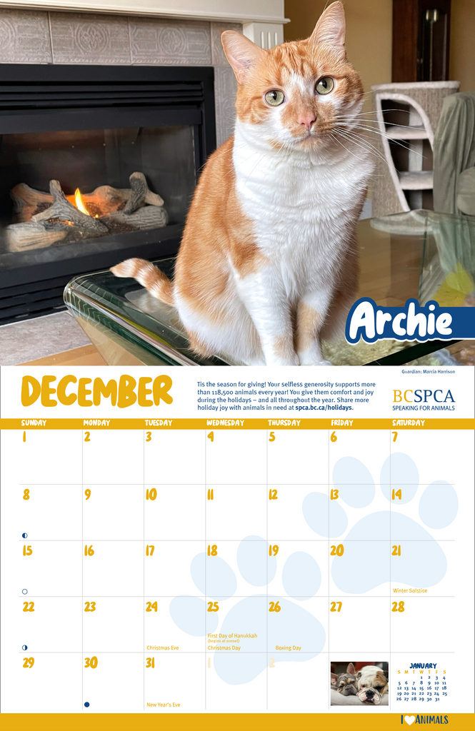 Bc Spca Calendar 2025