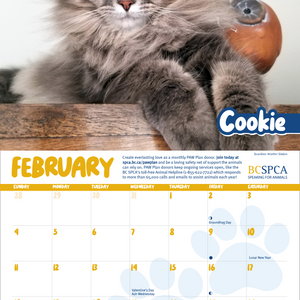 BC SPCA Calendar