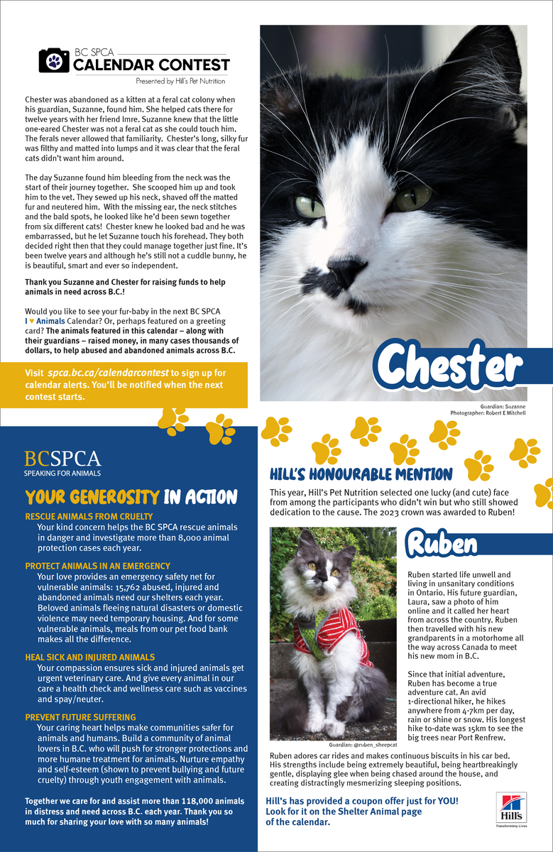 Bc Spca Calendar 2025