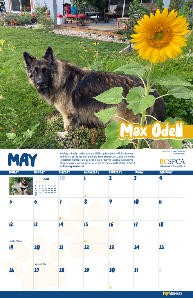 Bc Spca Calendar 2025
