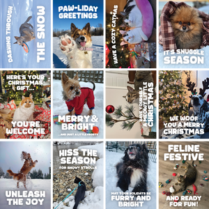 Holiday Cards