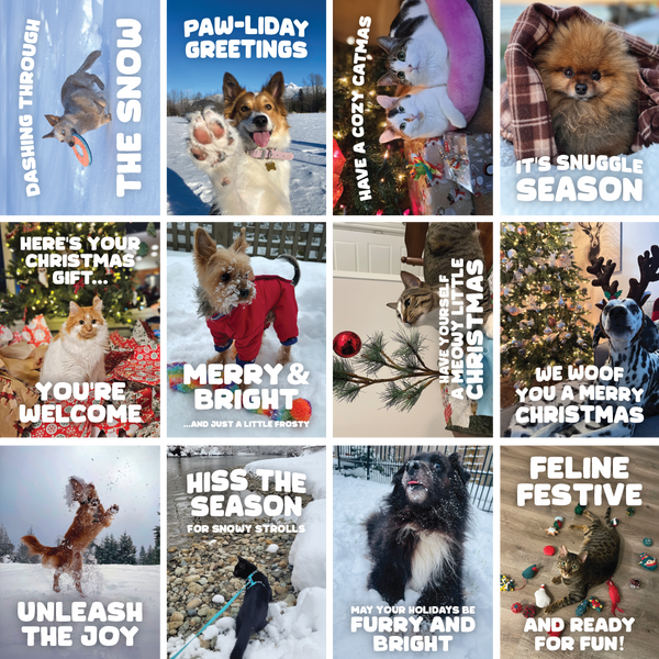 Holiday Cards