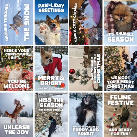 Holiday Cards