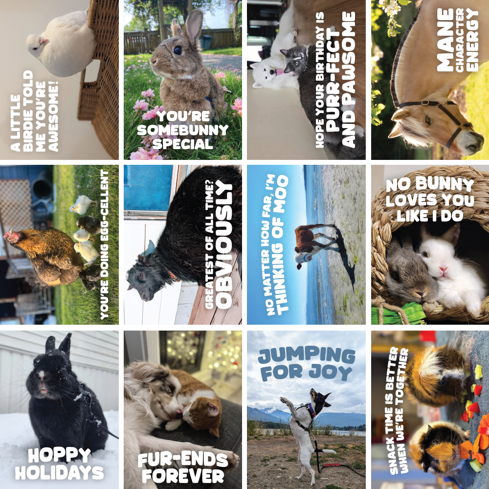 Greeting Cards