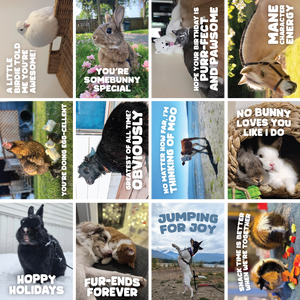 Greeting Cards