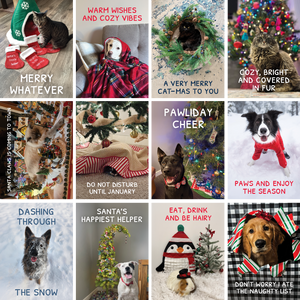 Holiday Cards