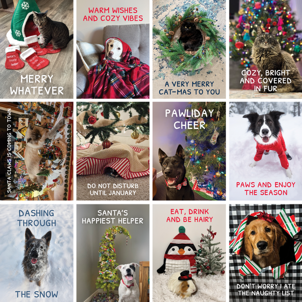 Holiday Cards