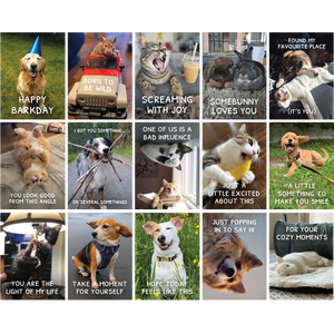 Greeting Cards