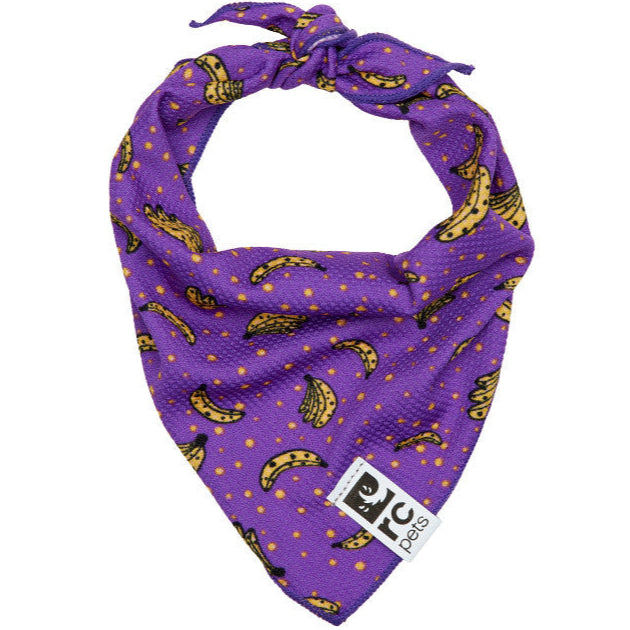 Zephyr Cooling Bandana – BC SPCA